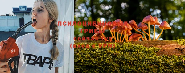 каннабис Абаза