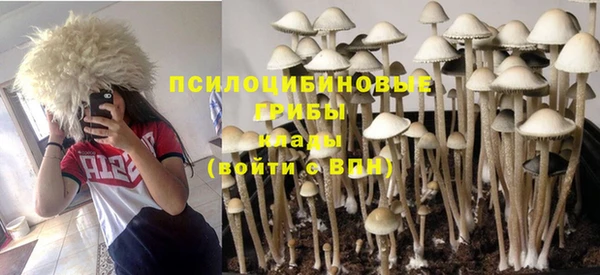 каннабис Абаза