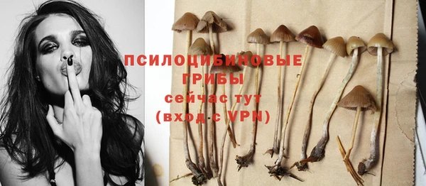 каннабис Абаза