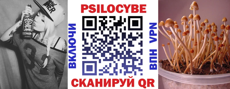 где можно купить Дубна Псилоцибиновые грибы мицелий